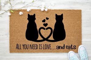 All you need is cats
